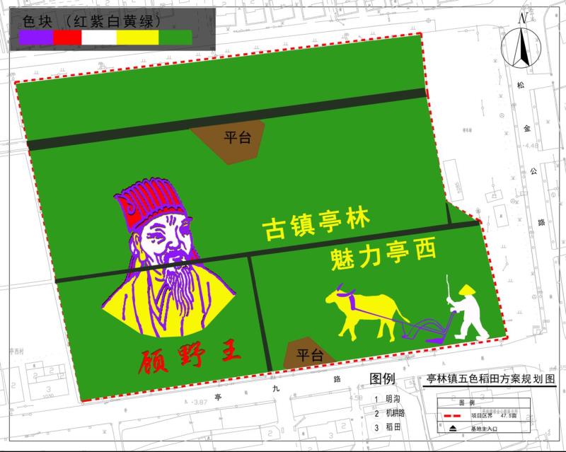 北斗卫星神定点，五彩水稻绘传奇